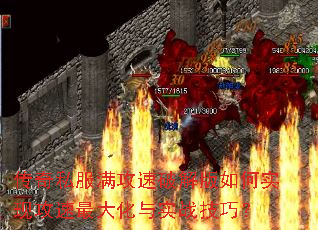 ����˽���������ƽ�����ʵ�ֹ��������ʵս���ɣ�