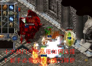 ʮ�����Ŵ���˽�����ѡ�����ֱؿ������뼼�ɽ���