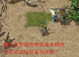 �����̬�洫��˽����ο��ٻ�ȡ����װ���뼼�ܣ�