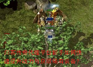 ��ʹ������ƽ̨������ο�������ս�����ȡϡ��װ����