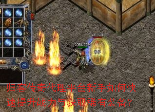 ��ʹ������ƽ̨������ο�������ս�����ȡϡ��װ����