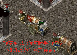 ��䵥ְҵ����������ο�������ս�����ȡװ����