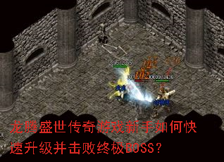 龙腾盛世传奇游戏新手如何快速升级并击败终极BOSS? 龙腾盛世传奇游戏新手如何快速升级并击败终极BOSS?