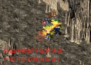 热血传奇新手如何快速升级并获取稀有装备? 热血传奇新手如何快速升级并获取稀有装备?
