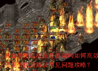 ��Ѫ����˽���������ܹ���θ�Ч��Ż�������������⹥�ԣ�