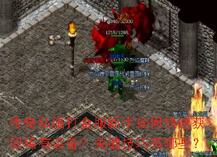 ����˽������������ο��ٻ�ȡϡ��װ�����ؼ���������Щ��