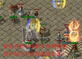 ��װ����˽��������ο�������ս�����ȡϡ��װ����