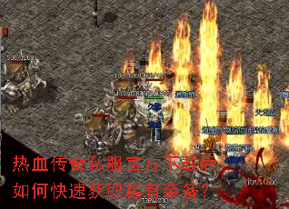 ��Ѫ����˽���ٷ����غ���ο��ٻ�ȡϡ��װ����