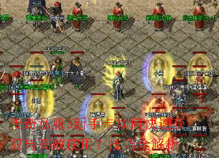 传奇私服3新手卡如何快速获取与高效使用?技巧全解析 传奇私服3新手卡如何快速获取与高效使用?技巧全解析