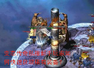 ��̬����˽�����������ο��ٻ�ȡϡ��װ����