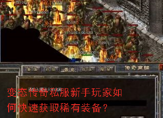 ��̬����˽�����������ο��ٻ�ȡϡ��װ����