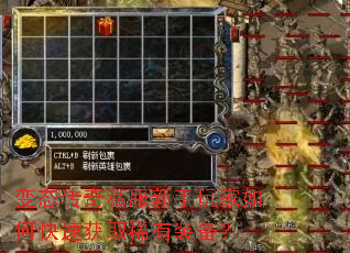 ��̬����˽�����������ο��ٻ�ȡϡ��װ����