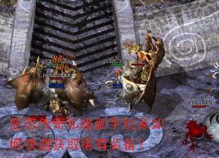 ��̬����˽�����������ο��ٻ�ȡϡ��װ����