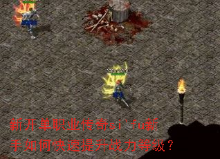 新开单职业传奇si'fu新手如何快速提升战力等级? 新开单职业传奇si'fu新手如何快速提升战力等级?