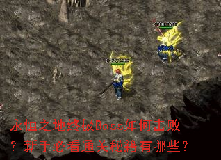 永恒之地终极Boss如何击败?新手必看通关秘籍有哪些? 永恒之地终极Boss如何击败?新手必看通关秘籍有哪些?