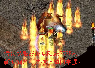 ����˽�����������BOSSˢ��ʱ�估�򷨼���������գ�