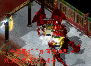 ����˽��������ο���ˢ������װ���뼼���飿