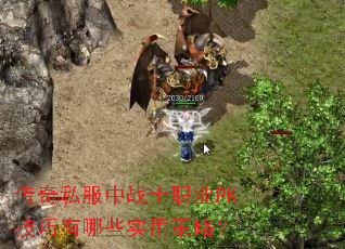 传奇私服中战士职业PK技巧有哪些实用策略? 传奇私服中战士职业PK技巧有哪些实用策略?