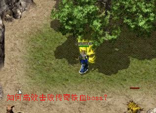 如何高效击败传奇铁血boss? 如何高效击败传奇铁血boss?