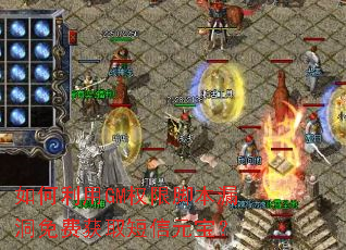 如何利用GM权限脚本漏洞免费获取短信元宝? 如何利用GM权限脚本漏洞免费获取短信元宝?