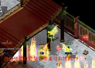 热血传奇红野猪在哪里可以找到? 热血传奇红野猪在哪里可以找到?