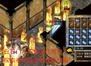 白日门左下角通往何处?探索神秘通道的攻略指南 白日门左下角通往何处?探索神秘通道的攻略指南