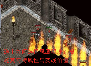 道士如何选择凤凰明珠?揭秘其奇特属性与实战价值 道士如何选择凤凰明珠?揭秘其奇特属性与实战价值