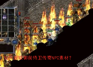 如何获取御前侍卫传奇NPC素材? 如何获取御前侍卫传奇NPC素材?
