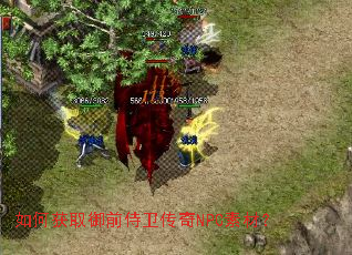 如何获取御前侍卫传奇NPC素材? 如何获取御前侍卫传奇NPC素材?