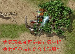 �����������Ϯ��봽���������ưԴ���ϻ�˽����