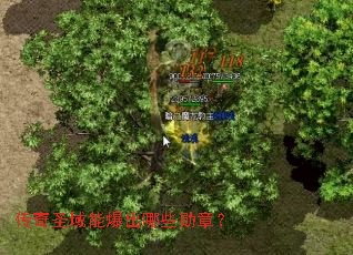 传奇圣域能爆出哪些勋章? 传奇圣域能爆出哪些勋章?