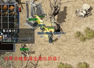 传奇圣域能爆出哪些勋章? 传奇圣域能爆出哪些勋章?