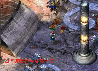 ��ε����л��Ա���ޣ�