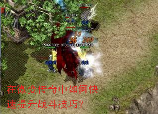 在微变传奇中如何快速提升战斗技巧? 在微变传奇中如何快速提升战斗技巧?