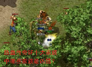 ��Ѫ����SFʮ���������Щ���������ͣ�