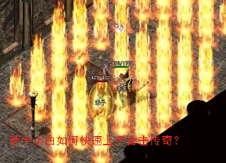 ����С����ο������ֺϻ����棿