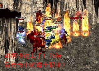 ��ο�������1.76��Ʒ�����еĵ�ʿְҵ��