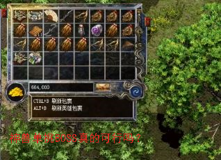 神兽单挑BOSS真的可行吗? 神兽单挑BOSS真的可行吗?