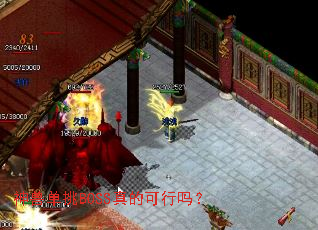 神兽单挑BOSS真的可行吗? 神兽单挑BOSS真的可行吗?