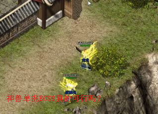 神兽单挑BOSS真的可行吗? 神兽单挑BOSS真的可行吗?