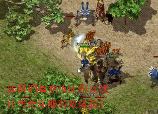 如何调整充值比例以优化传奇私服游戏体验? 如何调整充值比例以优化传奇私服游戏体验?