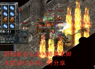 祖玛阁怎么走?随机本脚本实测10小时心得分享 祖玛阁怎么走?随机本脚本实测10小时心得分享