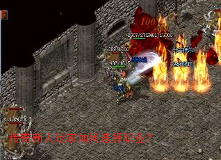 ��������������ѡ��ְҵ��