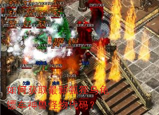 ��λ�ȡ���º����ڹ��ڳ����޹�����룿