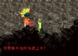 ����������ο������֣�