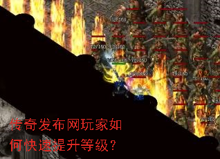 ���淢���������ο��������ȼ���