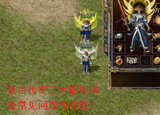 ���Ŵ�������ְҵװ��������������Щ��