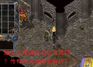 ��ʿ�����ѡ�����������������Ϸ����ȫ������