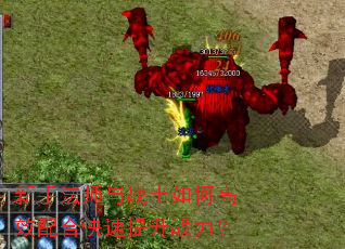 新手法师与战士如何高效配合快速提升战力? 新手法师与战士如何高效配合快速提升战力?