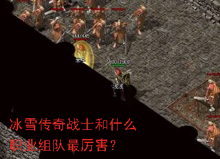 冰雪传奇战士和什么职业组队最厉害? 冰雪传奇战士和什么职业组队最厉害?